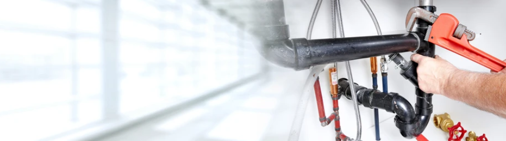 AGREV Distribuciones